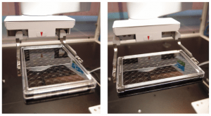 photos of the robot arm gripper holding microplates in landscape or portrait orientation